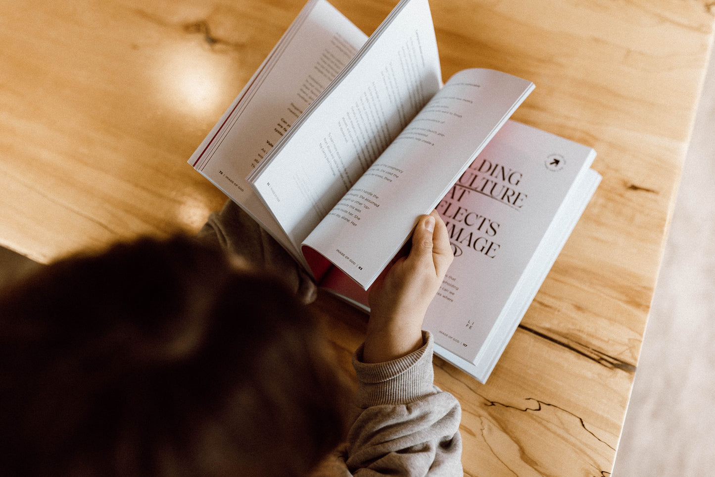 Image of God: A Stand For Life Curriculum (Physical Copy)